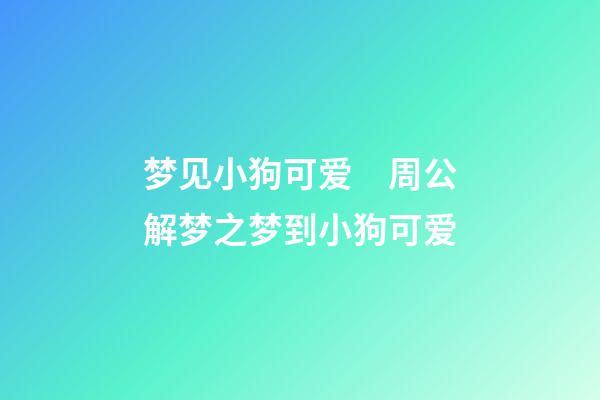 梦见小狗可爱　周公解梦之梦到小狗可爱